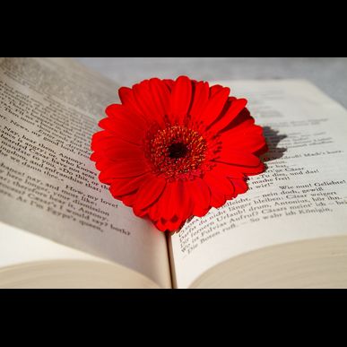 杉戸周辺で電気工事士正社員募集中です！ぜひご相談ください！【株式会社八賢電機】